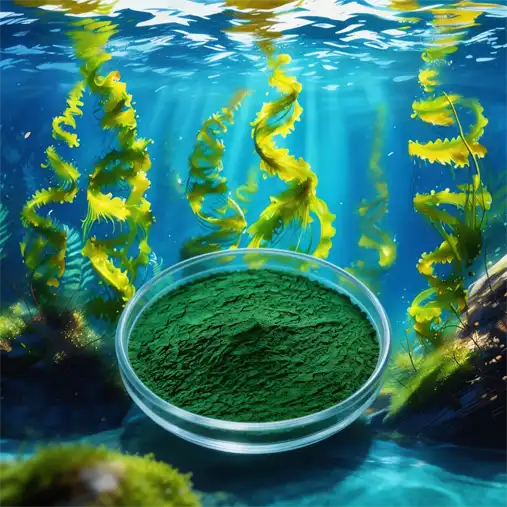 Are Spirulina Extract Tablets Good for Detoxification?